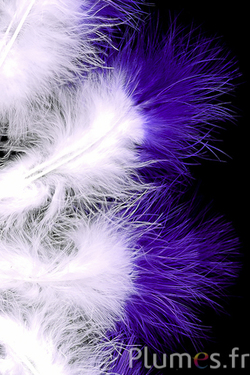 Plumet 3 plumes - hauteur 20 cm - blanc-violet